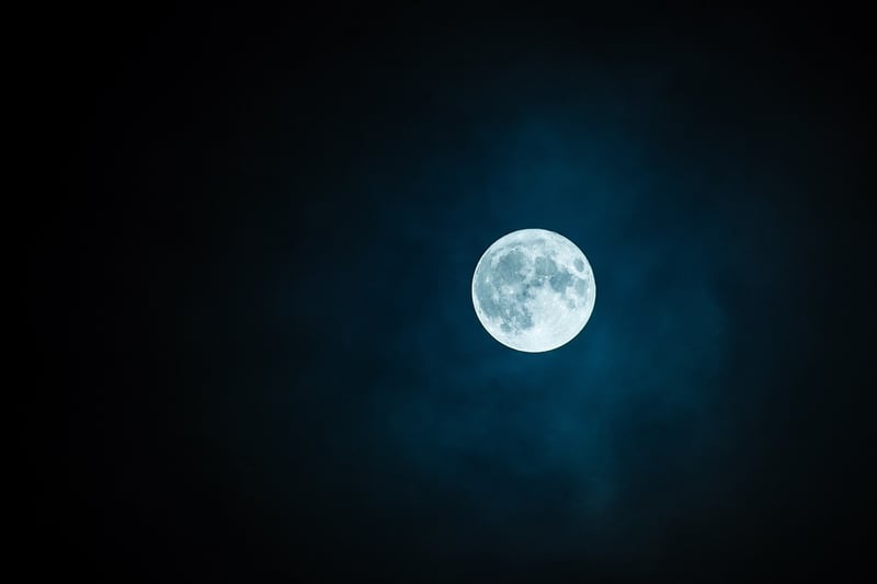 Moonlit Love